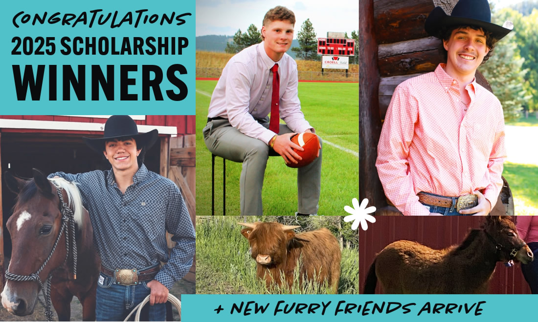 2025 Scholarship Winners